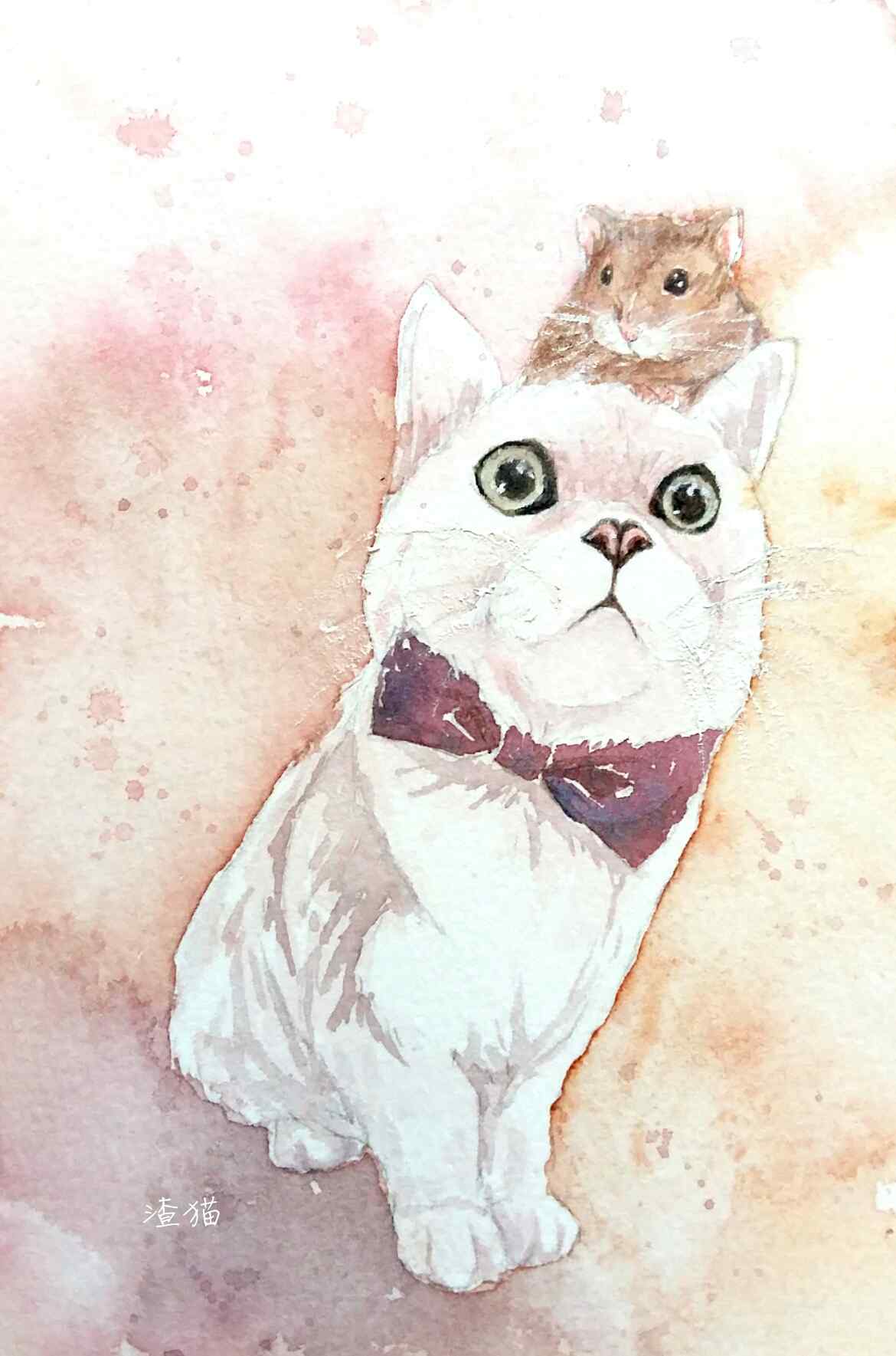 萌萌哒可爱小猫和仓鼠手绘手机壁纸