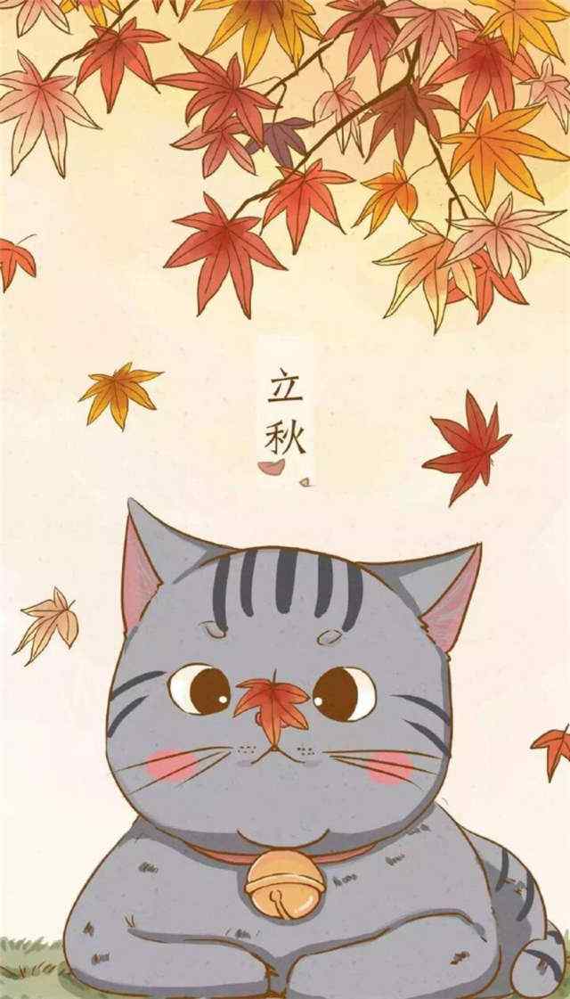 立秋可爱手绘猫咪手机壁纸