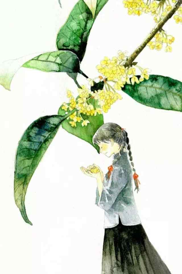 手绘桂花与少女手机壁纸