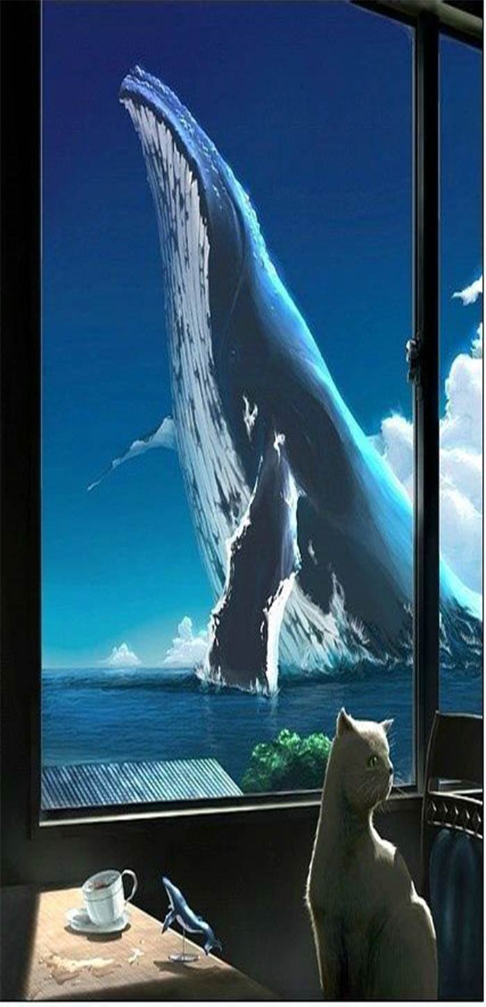 巨大鲸鱼高清可爱卡通壁纸