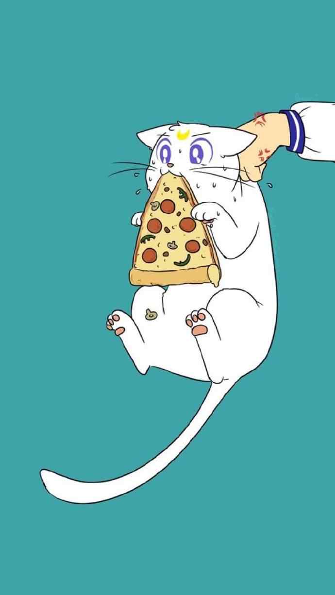 可爱的小猫咪偷吃披萨卡通图片上手机壁纸