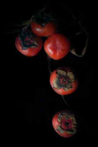 秋季养生美食之柿子手机壁纸