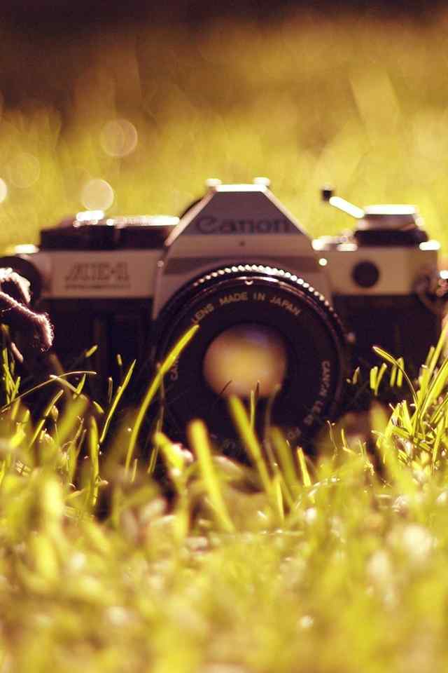 单反相机佳能胶卷相机唯美草丛手机壁纸