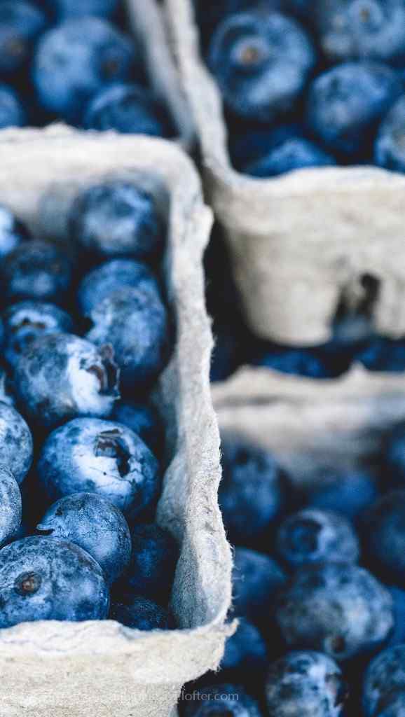 满满的蓝莓水果手机壁纸