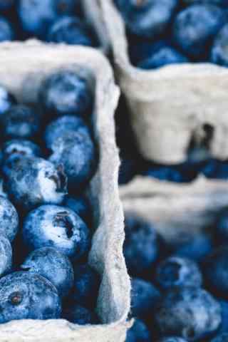 满满的蓝莓水果手