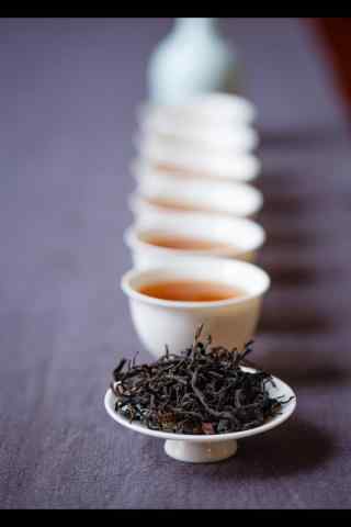 茶文化—古树茶手
