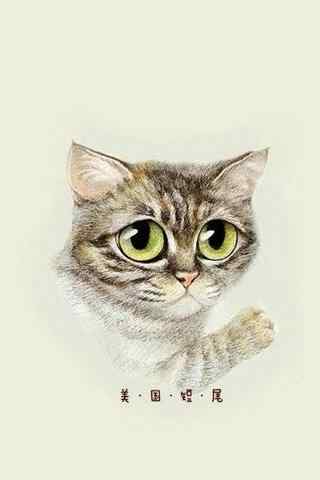 可爱的美短猫咪手绘手机壁纸