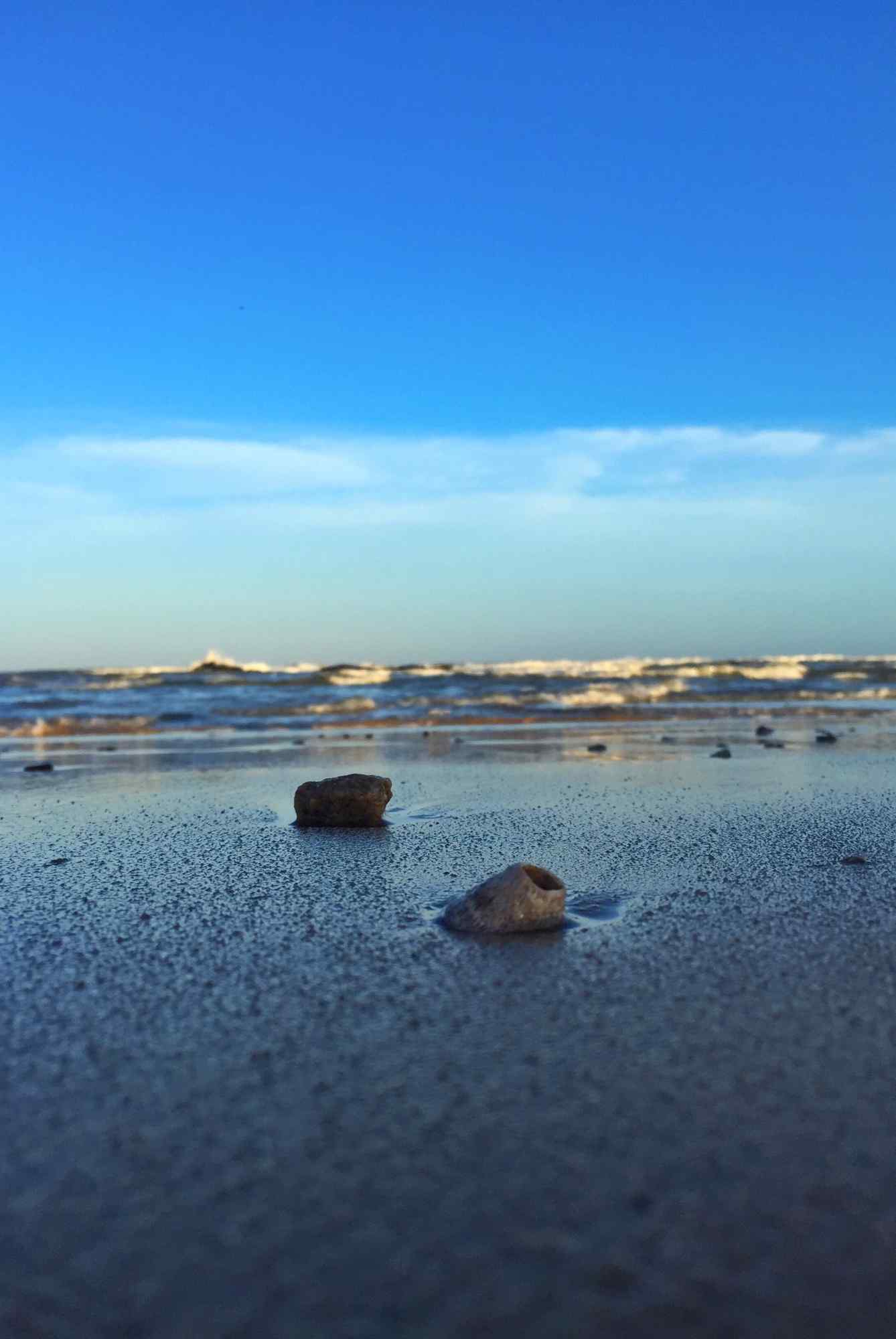 在沙滩上的小贝壳手机壁纸