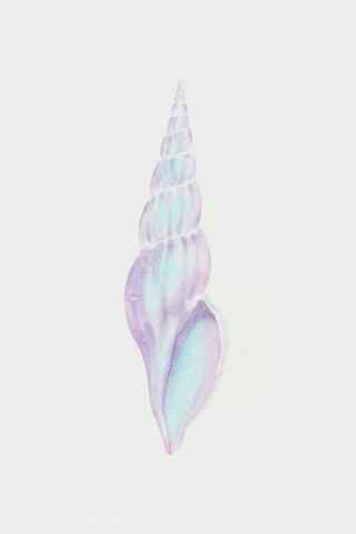 创意手绘海螺贝壳手机壁纸