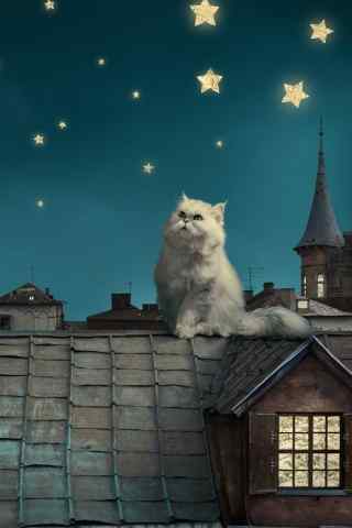 手绘夜晚屋顶上的猫咪手机壁纸