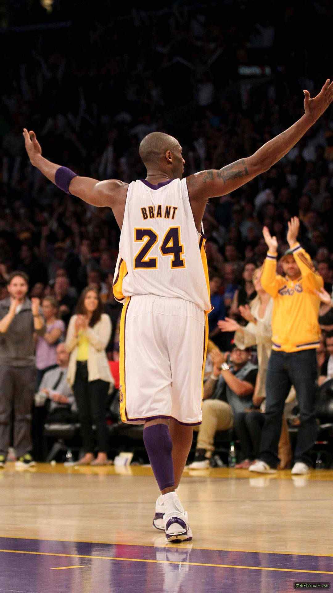 科比高清壁纸NBA巨星科比洛杉矶湖人24号球衣黄衫军