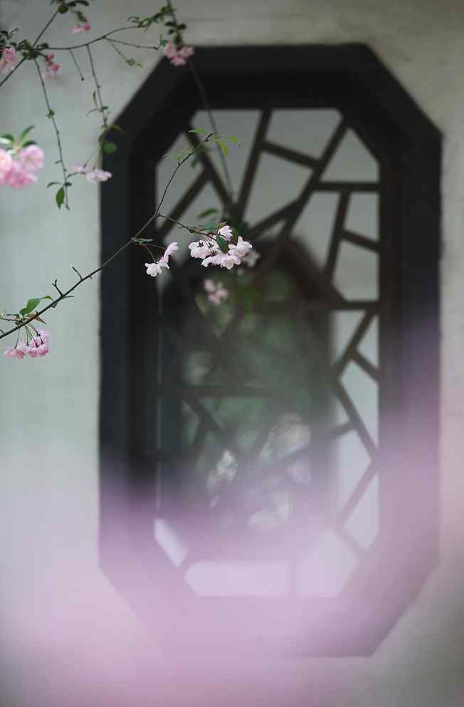 唯美的海棠花瓣手机壁纸（5张）