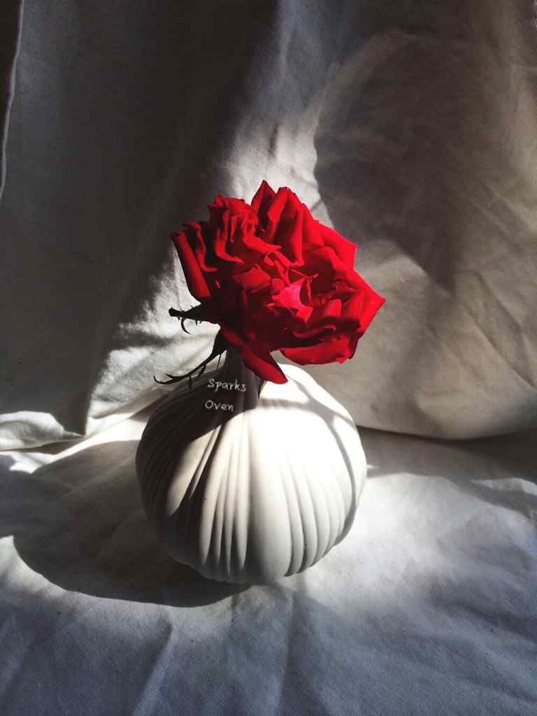 漂亮的玫瑰花束手机壁纸