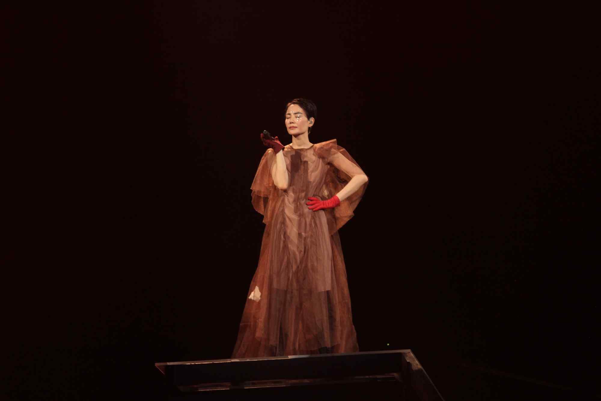 王菲上海演唱会唯美长裙造型图片桌面壁纸