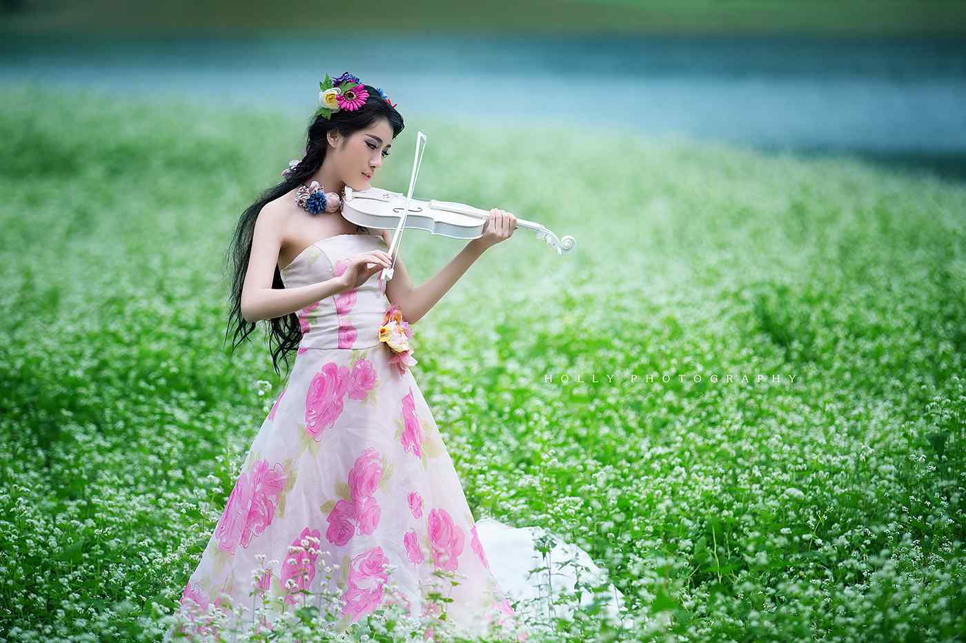 荞麦花海中的拉小提琴的美女