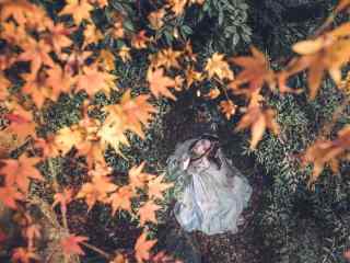 汉服交领儒裙—枫叶树下的少女桌面壁纸
