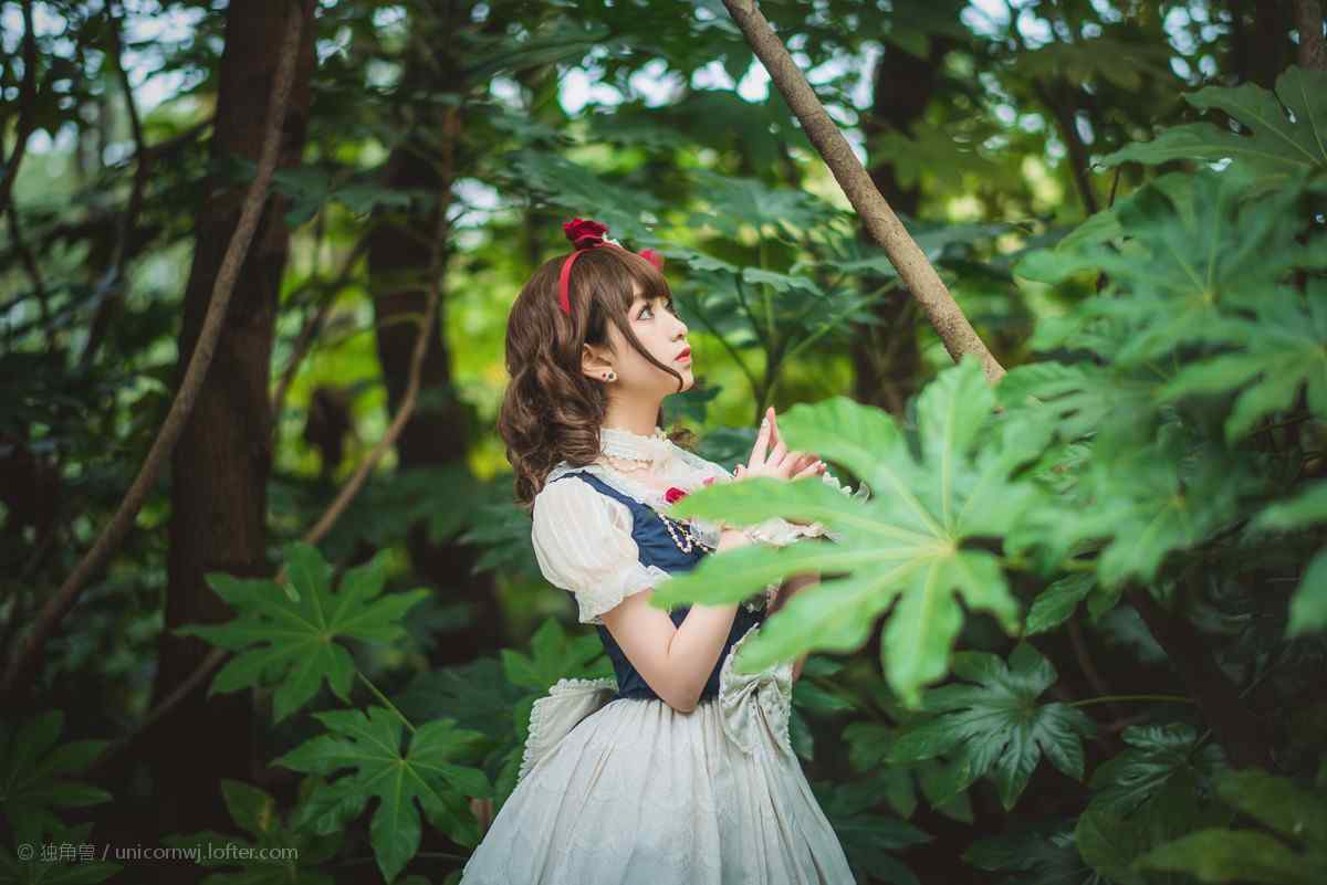 lolita洋装—树林里的可爱少女桌面壁纸