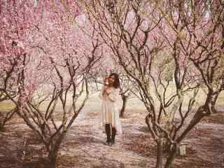 粉嫩桃花林中美女桌面壁纸