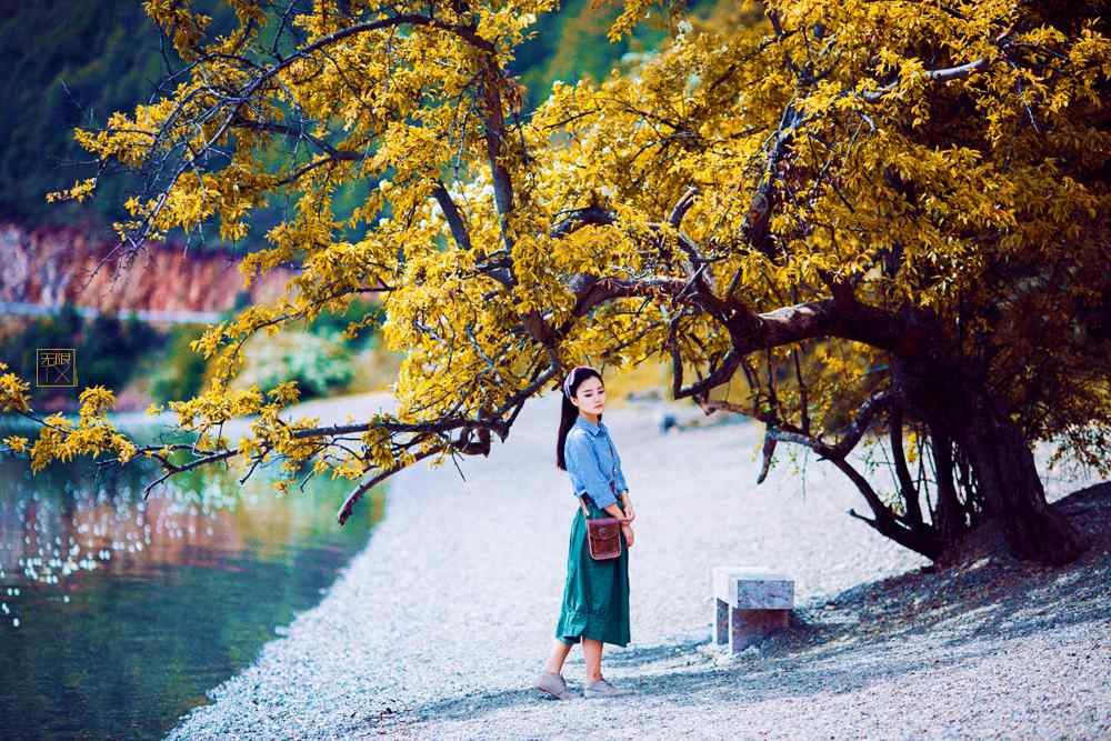 文艺美女泸沽湖边树下写真壁纸
