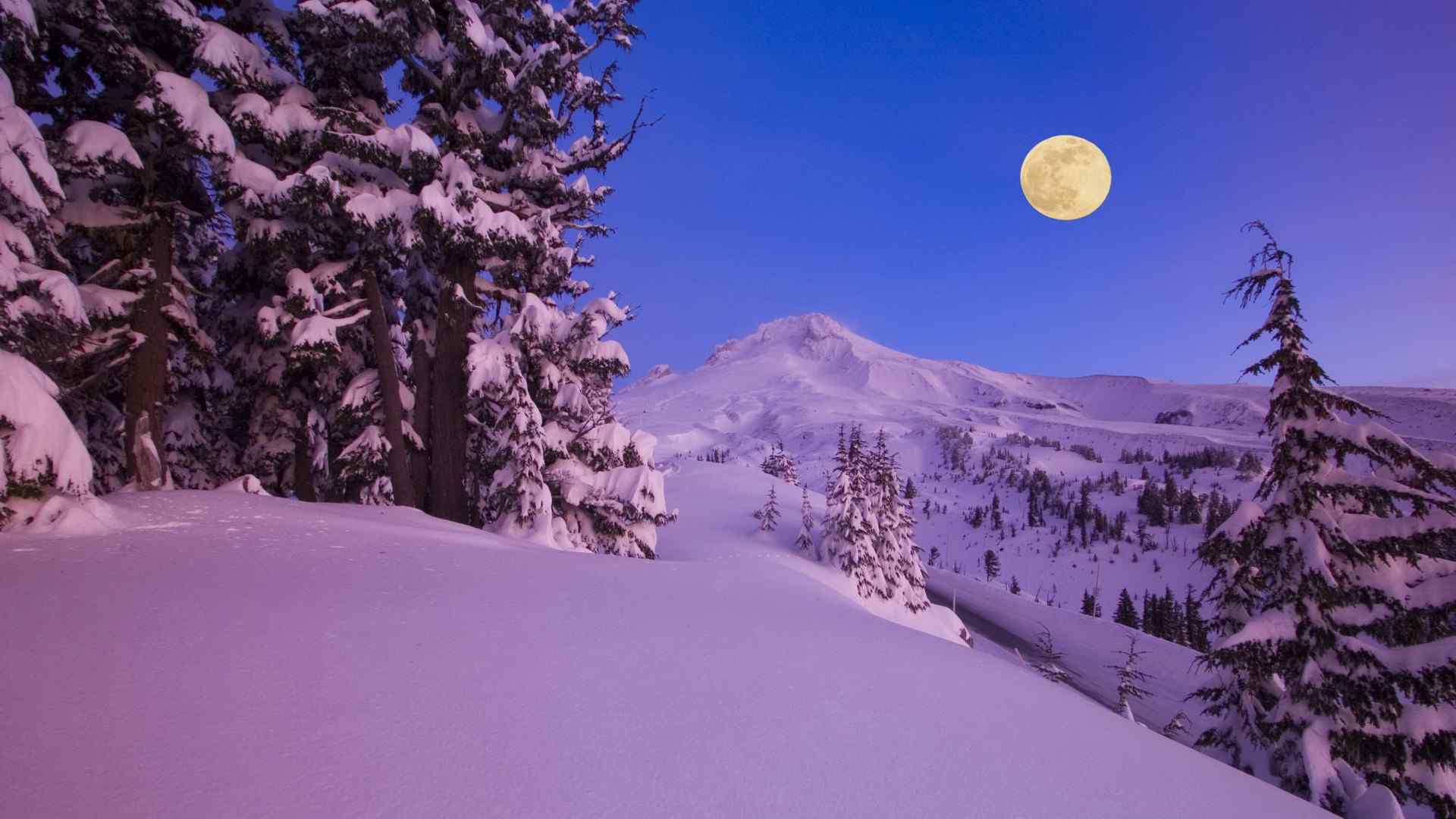 雪地上的一轮明月图片桌面壁纸