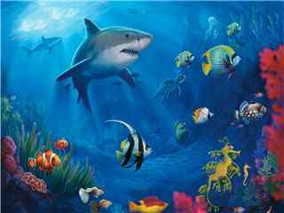 美丽的海底世界桌面壁纸之大鲨鱼