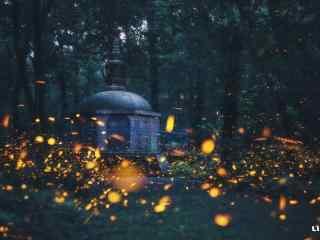 夏夜林间萤火虫壁纸图片下载