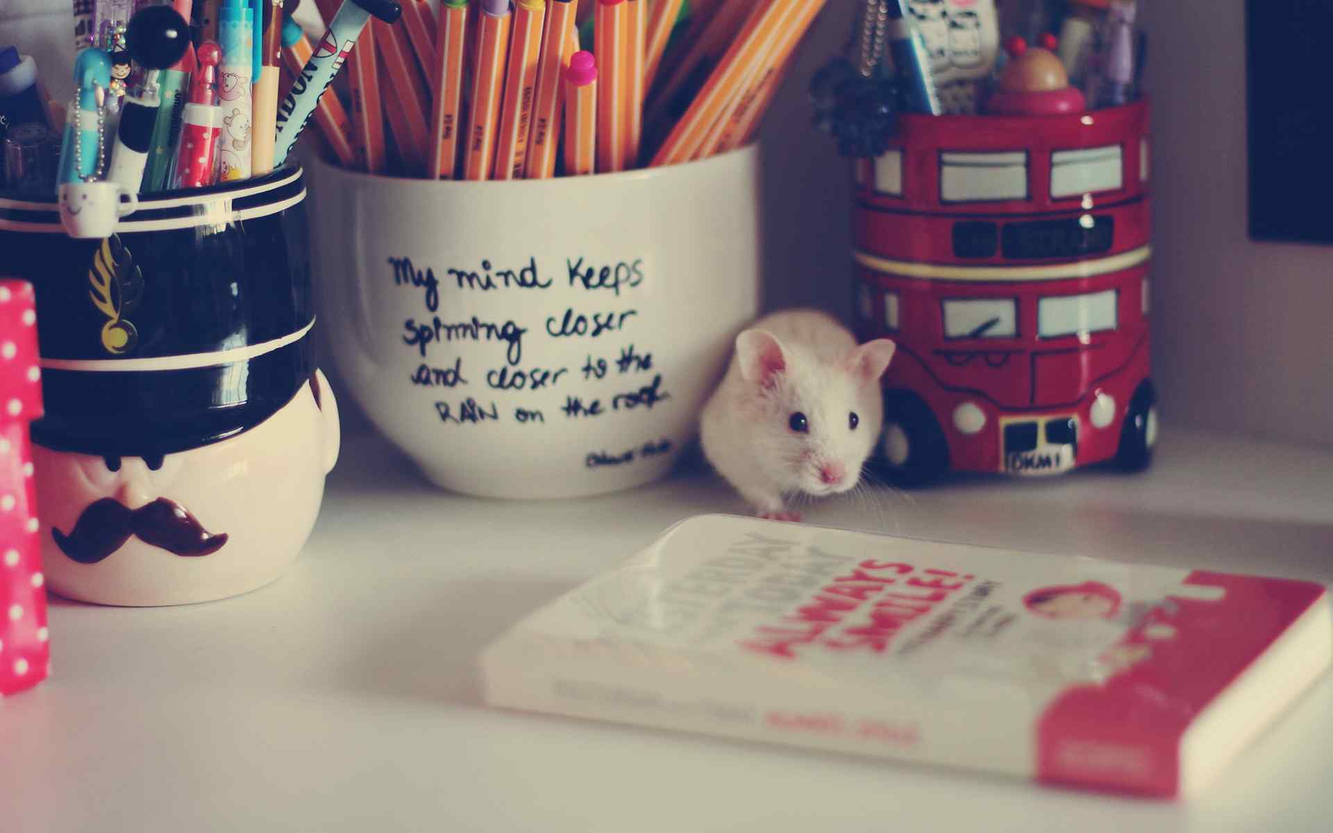 书桌上的可爱小白鼠图片电脑壁纸
