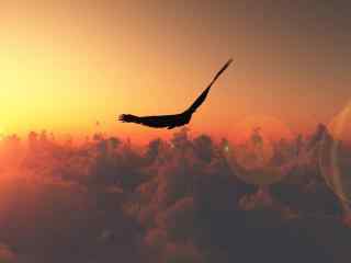 唯美夕阳下展翅飞翔的苍鹰图片