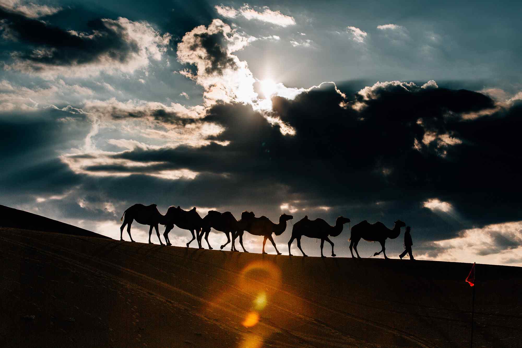 沙漠之上的骆驼队伍
