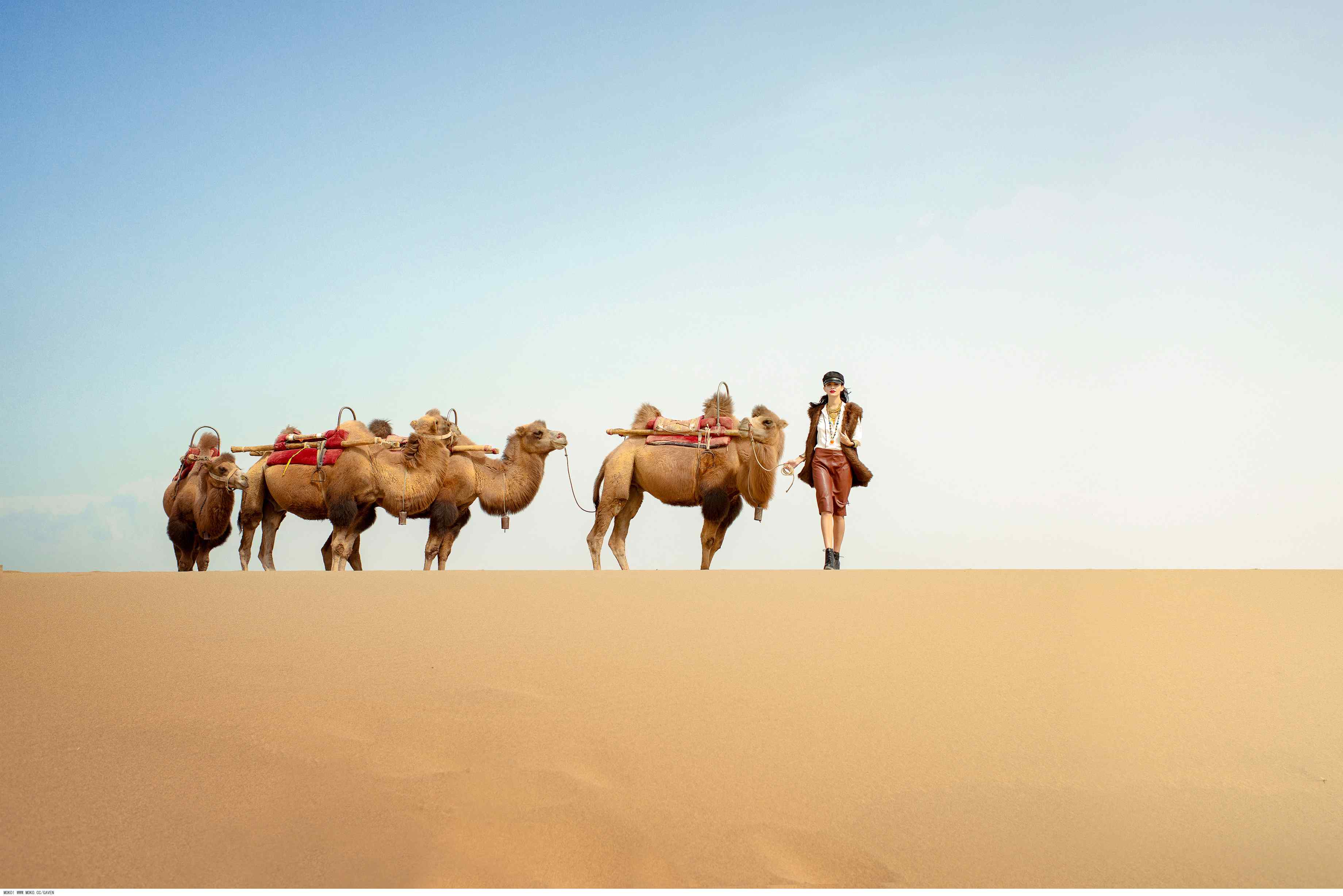 沙漠中美女与骆驼图片壁纸