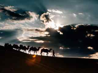 行走在沙漠之上的骆驼