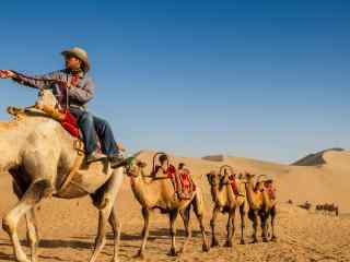 沙漠中的骆驼队图