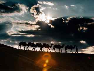 沙漠之上的骆驼队