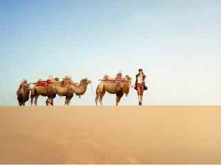 沙漠中美女与骆驼