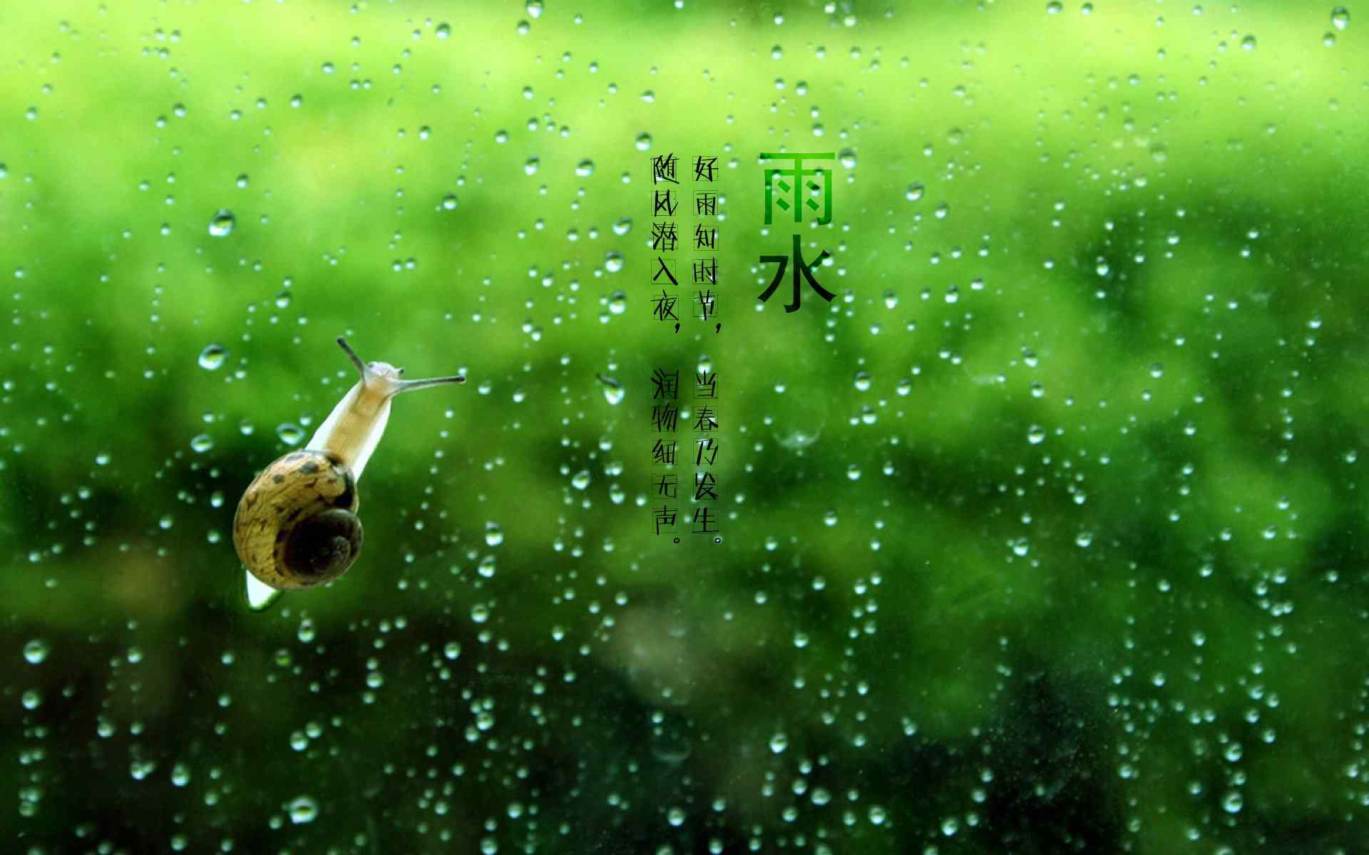 雨水节气-可爱的小蜗牛图片