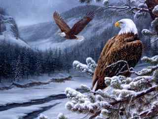 雪山森林里的老鹰图片桌面壁纸