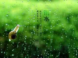 雨水节气-可爱的小蜗牛图片