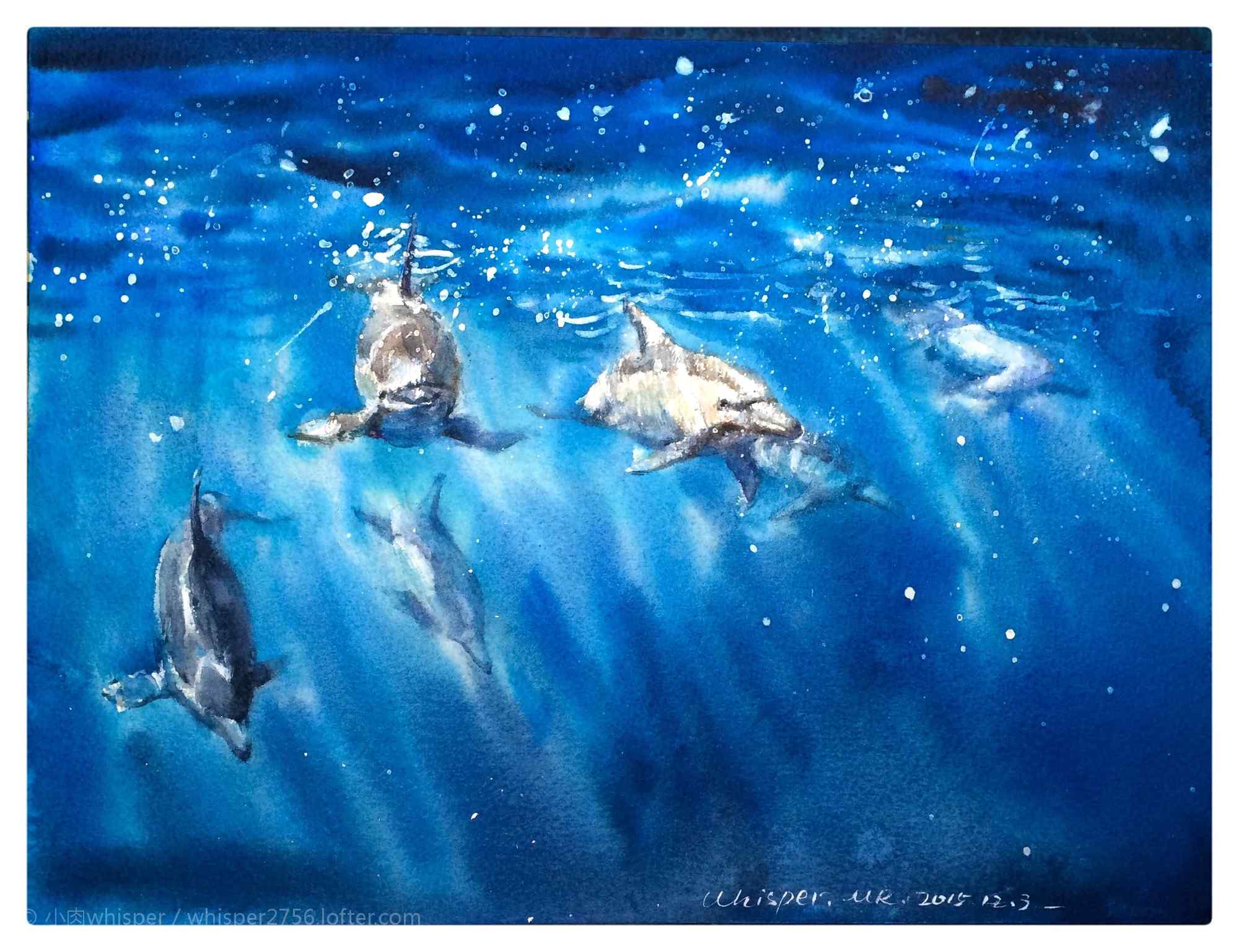 手绘可爱的海豚鱼群桌面壁纸