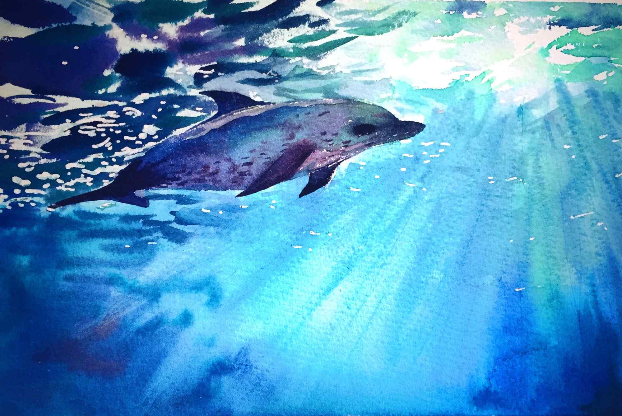 手绘可爱的海豚桌面壁纸