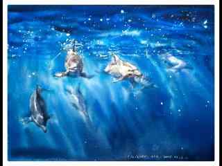手绘可爱的海豚鱼群桌面壁纸