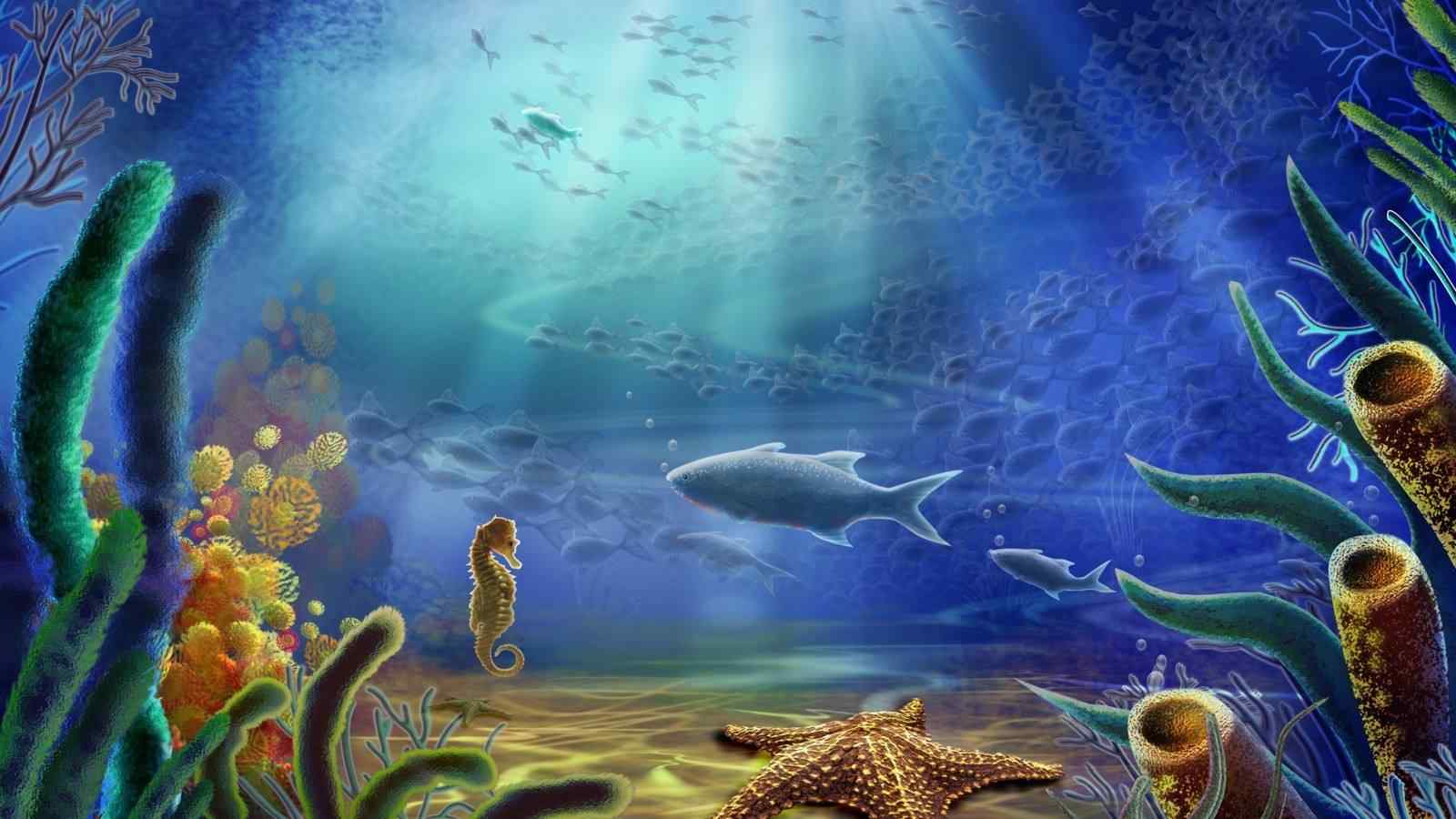 海底世界鱼桌面壁纸-壁纸图片大全