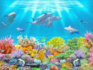 美丽的海底世界桌面壁纸
