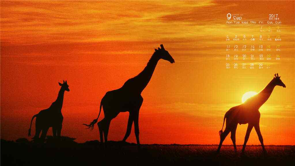 2017年9月日历夕阳下的长颈鹿壁纸