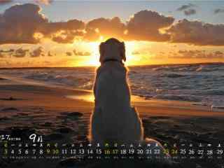 2017年9月日历黄昏沙滩上的狗狗壁纸