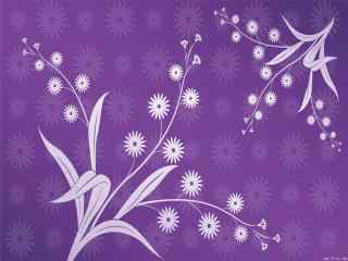 高清唯美炫彩花纹壁纸：紫清花 对影三