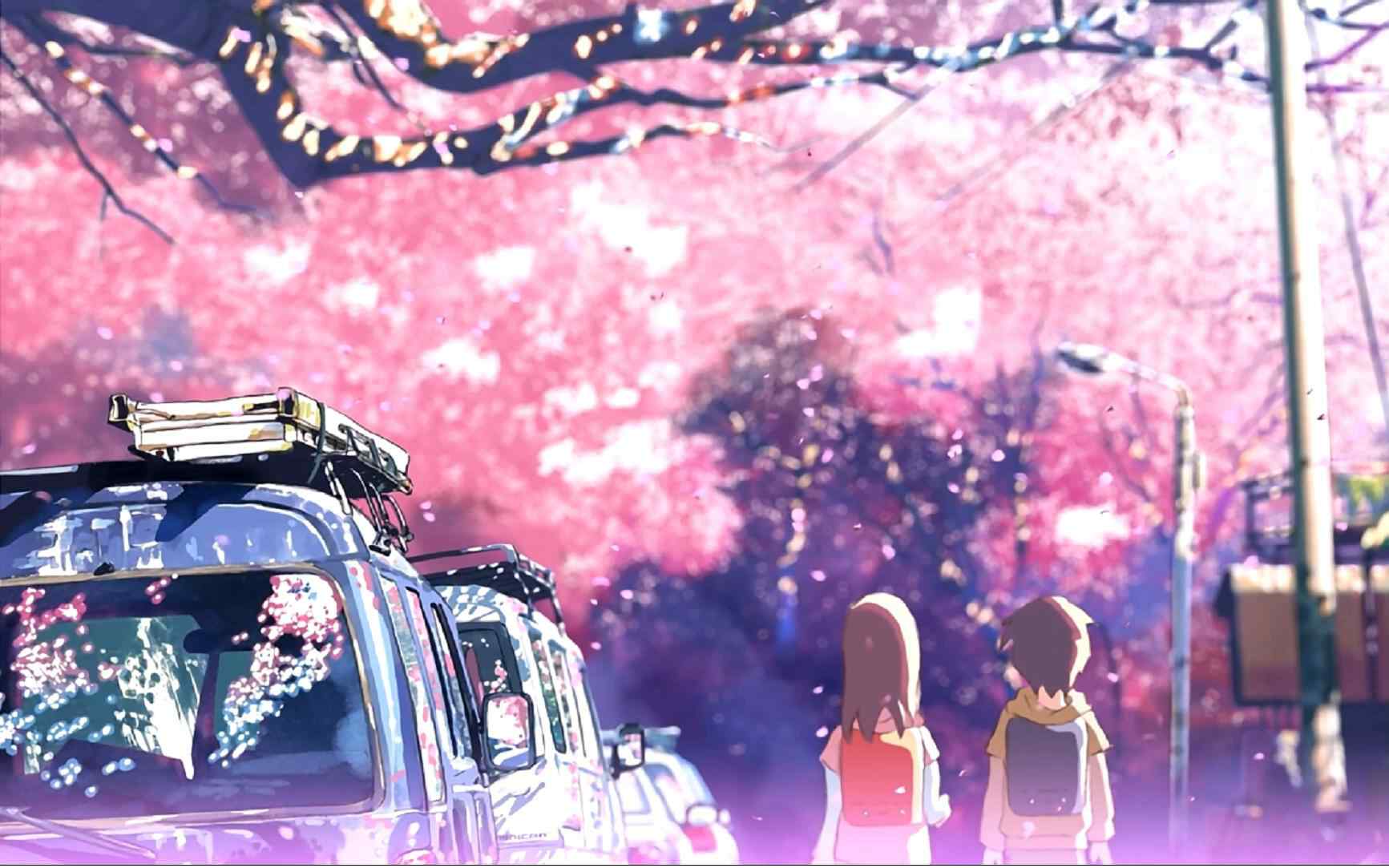 温馨浪漫的樱花树下的动漫场景
