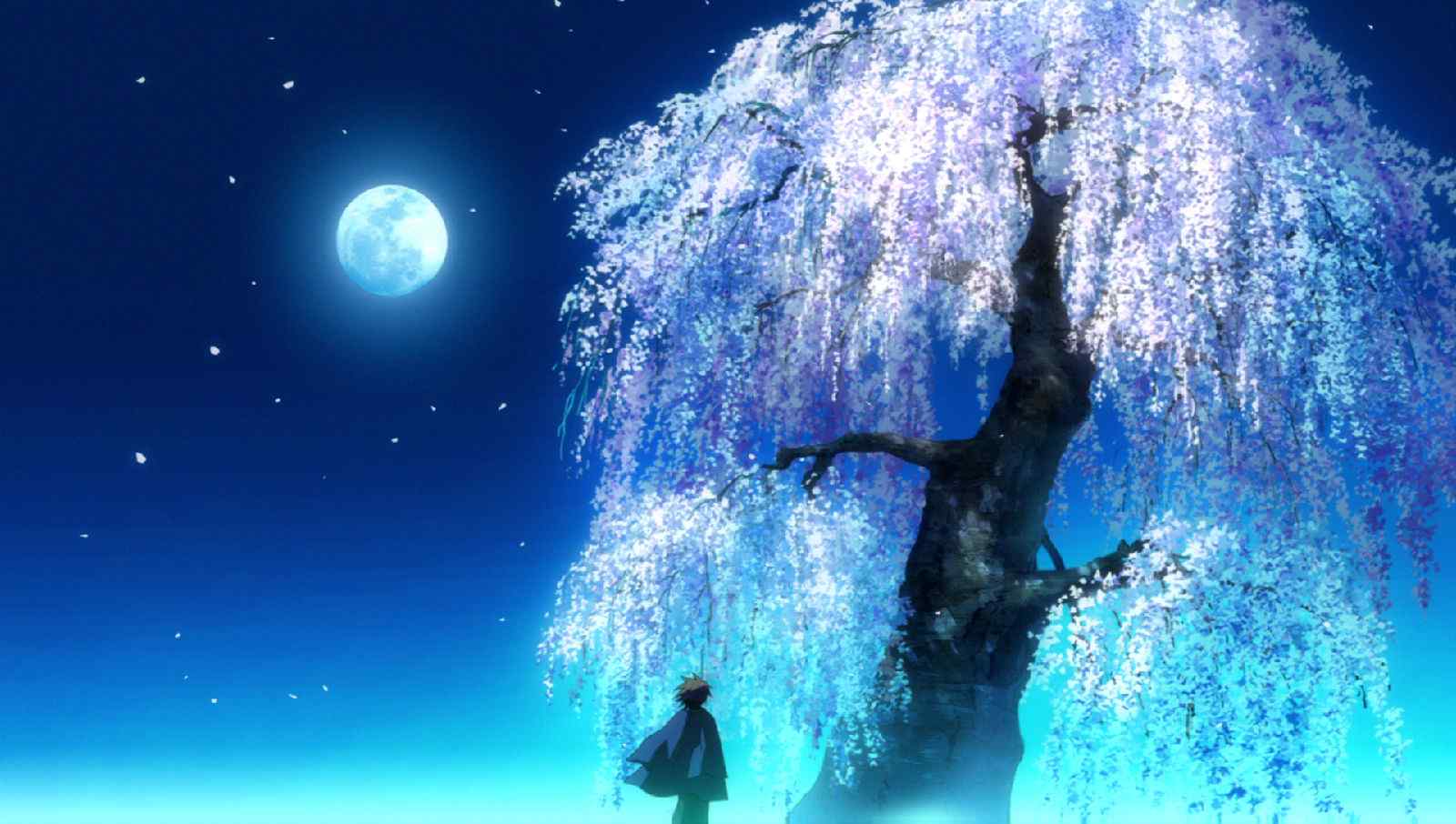 动漫图片-唯美夜空下的樱花树