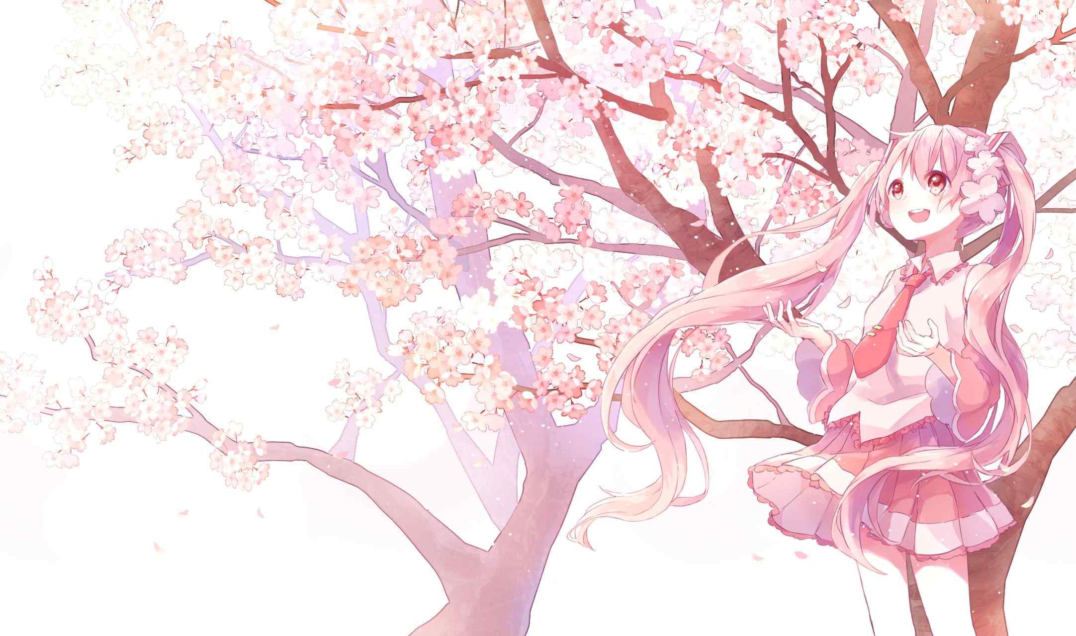 动漫图片-可爱美女与樱花