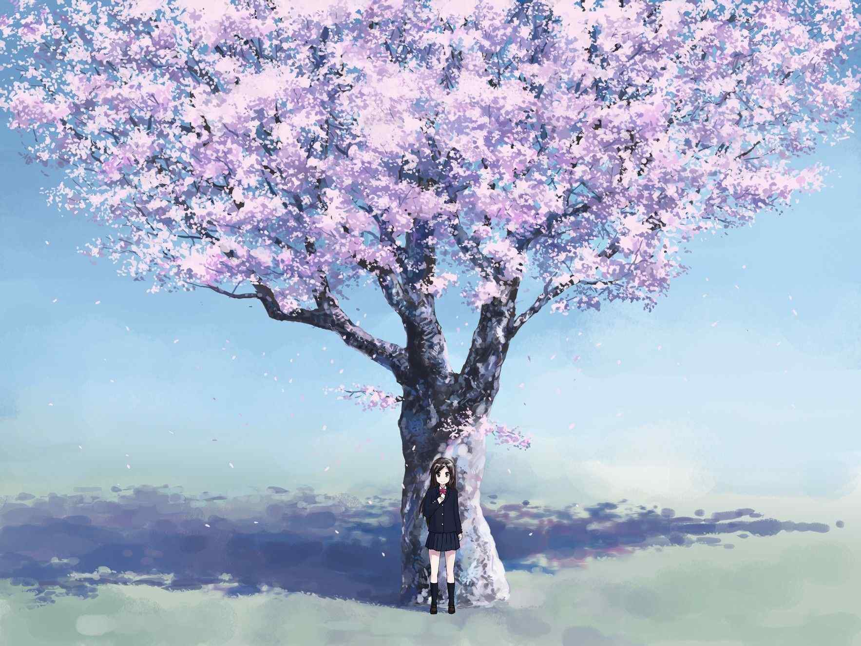 动漫图片-樱花树下的美丽少女