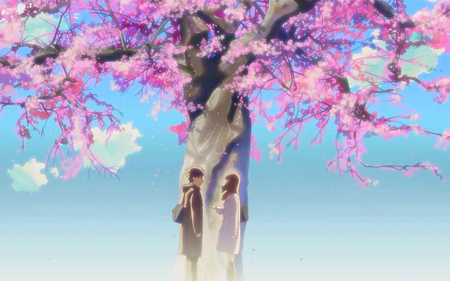 动漫图片-浪漫樱花树下的情侣